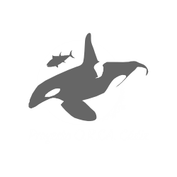 Proyecto Orca